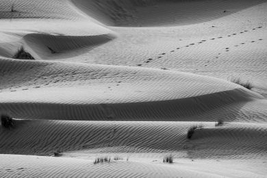 Dr. Helmut Raab: Die Spur